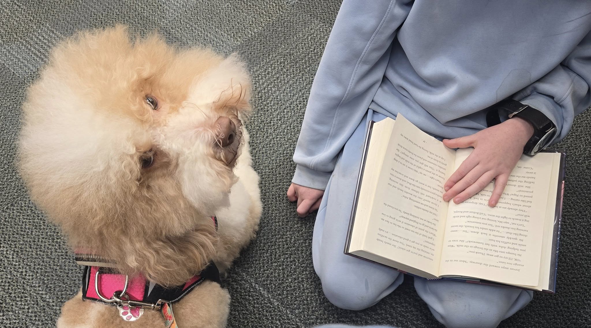 This Week @ Your Library January 11-18