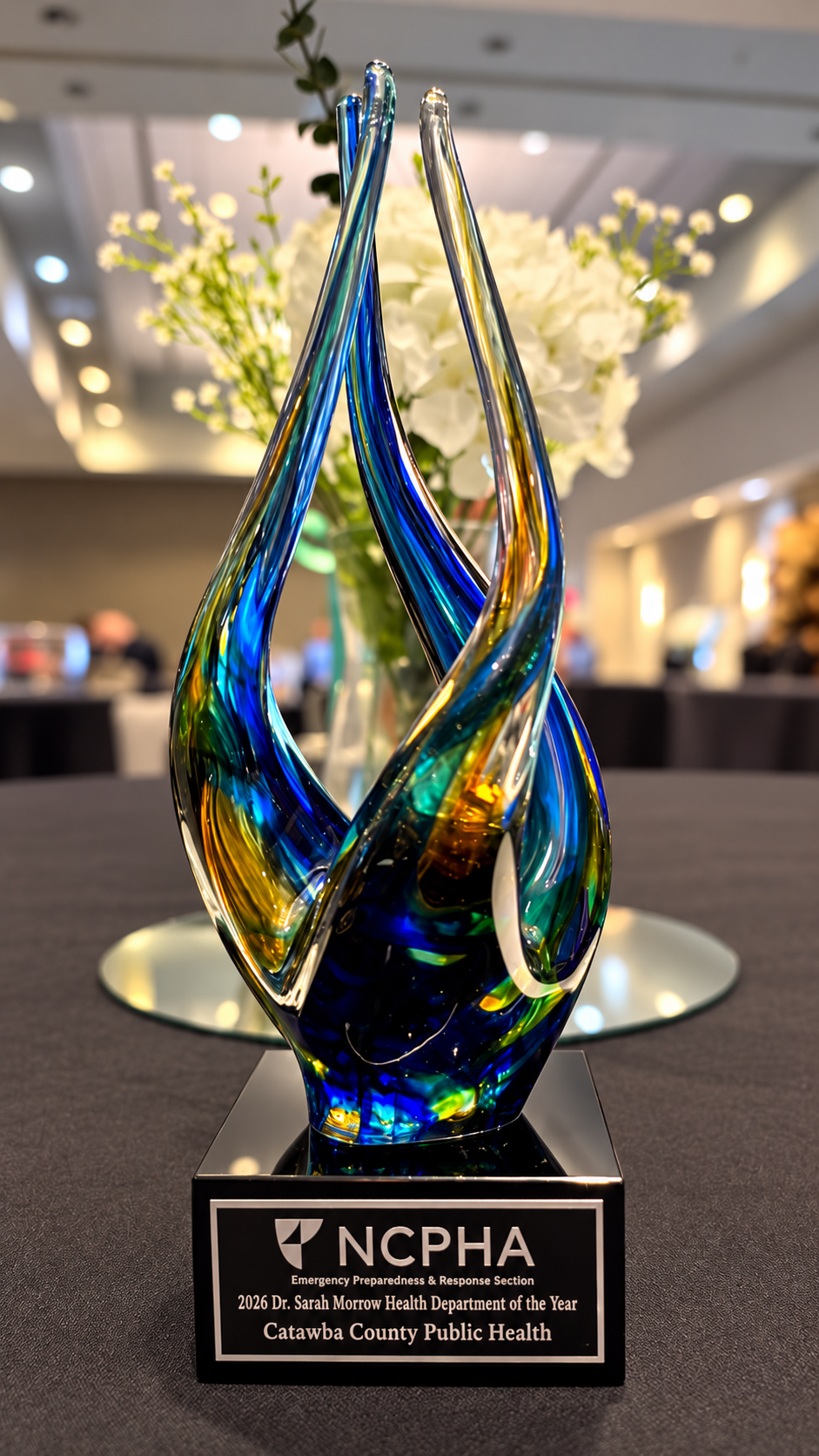 NC Health Department of the Year NC Health Department of the Year